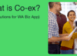 What-Is-WhatsApp-Co-ex