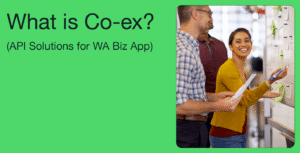 What-Is-WhatsApp-Co-ex