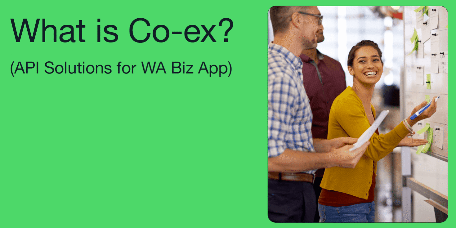 What-Is-WhatsApp-Co-ex