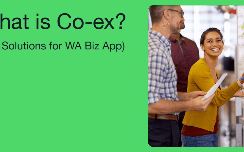 What-Is-Co-Ex What-Is-WhatsApp-Co-ex